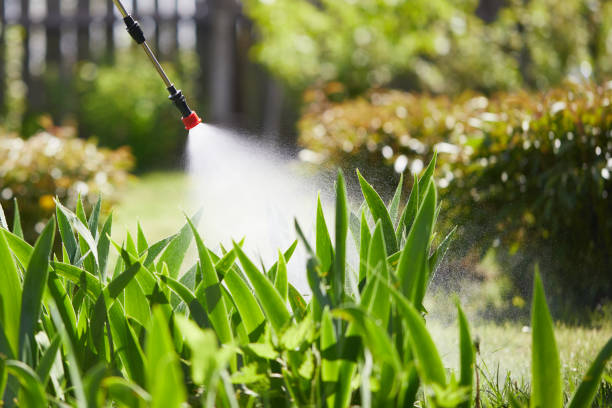Tamper-Resistant Bait Stations for Rodents in Moweaqua