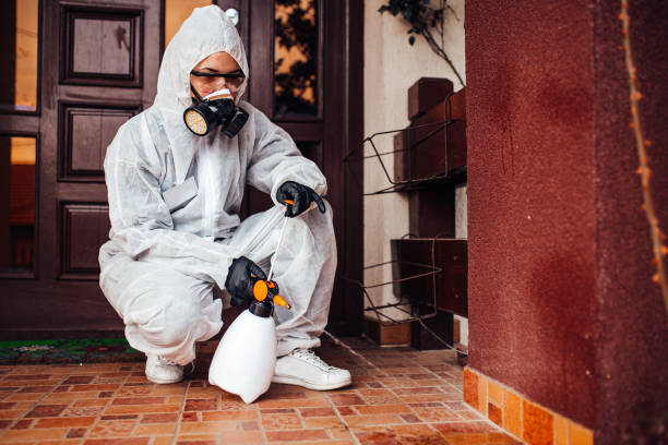 Attic and Crawl Space Rodent Treatment in Moweaqua