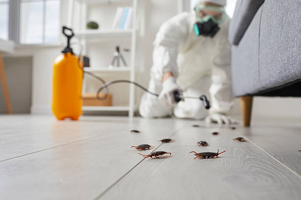 Commercial Rodent Management in Moweaqua